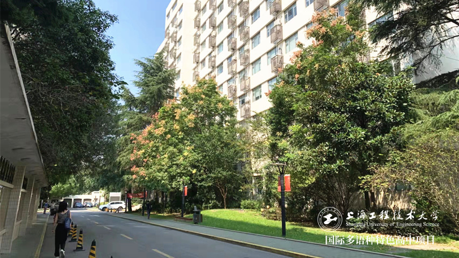 校园小路
