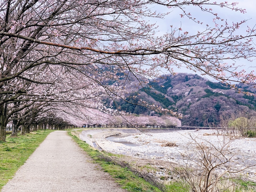 日本