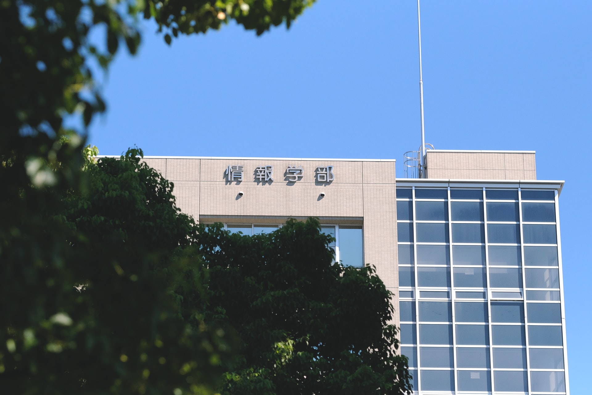 日本大学