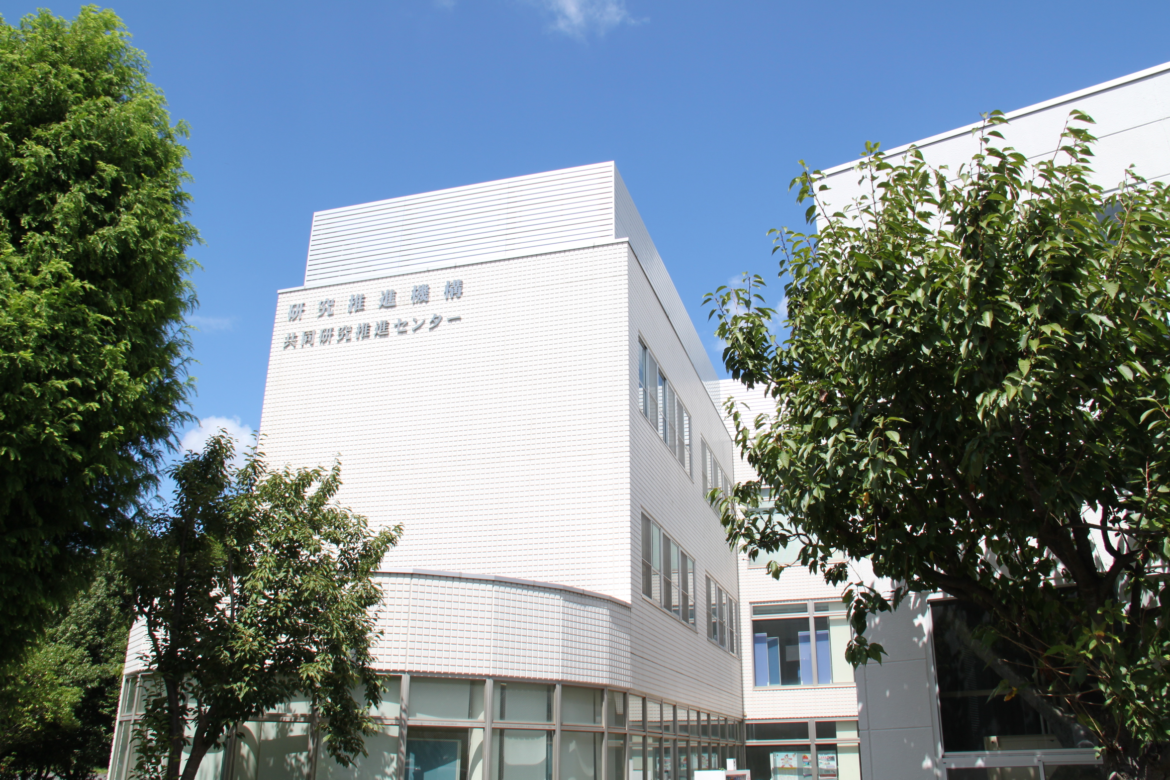 横滨国立大学